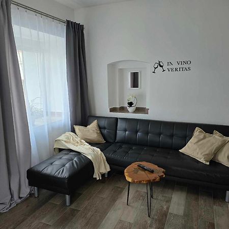 Cvikov - Bezbarierove Studio Elena Appartement Česká Lípa Buitenkant foto