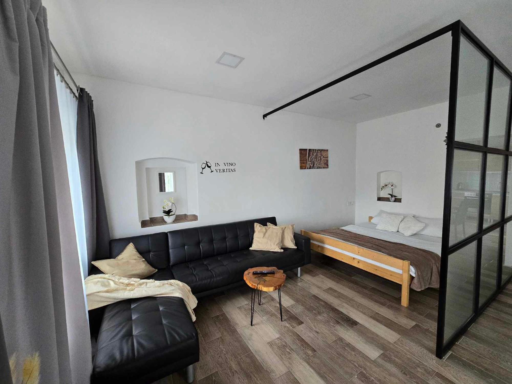 Cvikov - Bezbarierove Studio Elena Appartement Česká Lípa Buitenkant foto